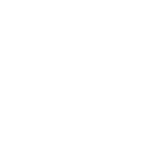 SturmGeshuts's emblem