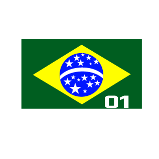 boinas verdes's emblem