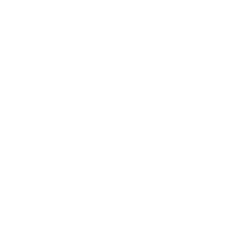 Schneos's emblem