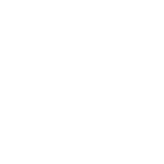 Zero_Tronick's emblem