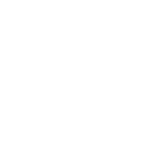 SVY-RAPTOR's emblem