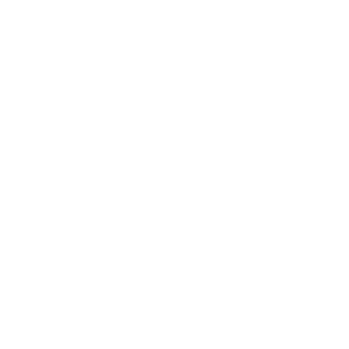 1337Zver1337's emblem