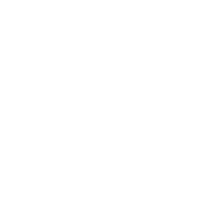 SantiiZ21's emblem