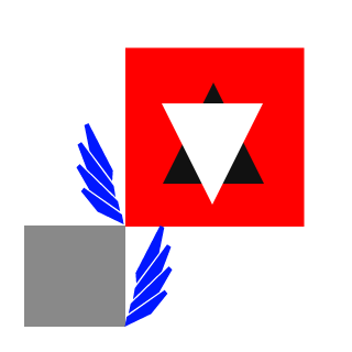 Liamw521's emblem