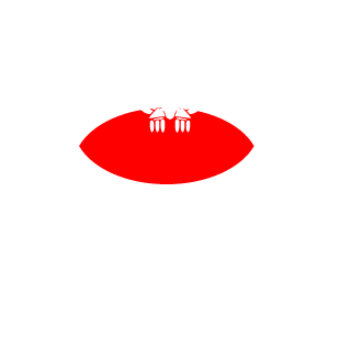 shokit123's emblem