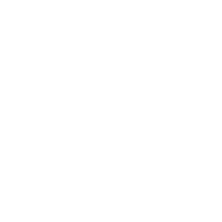WeZoN's emblem