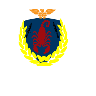 0BapeL-53RUS's emblem