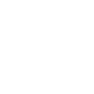 MalevolentMAX999's emblem