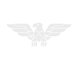 33izi's emblem