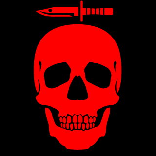 WonderLungSS's emblem