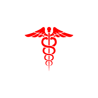 CASZeleven's emblem