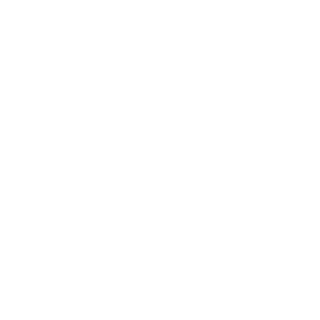 Robinho9521's emblem