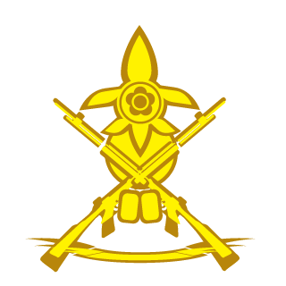 matt155135's emblem
