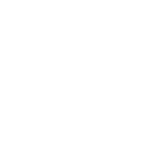 Meg4Fon3's emblem