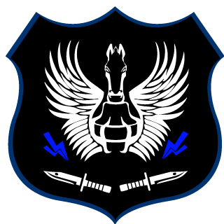 DUKE-WAYNE61's emblem