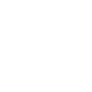 czs21's emblem