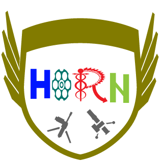 FireOutMyH0le's emblem