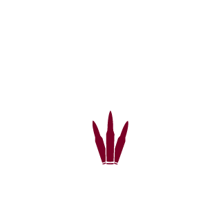 loonYeYE's emblem