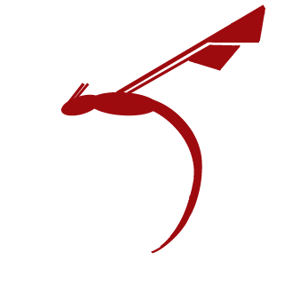 Dragonfly Squad II's emblem