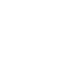 reg_sait2000's emblem