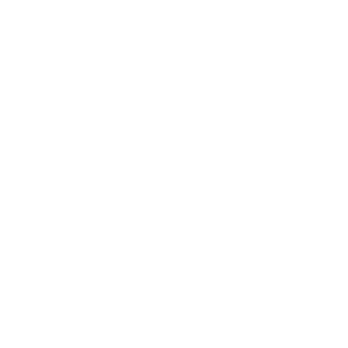 PixelatedTit's emblem