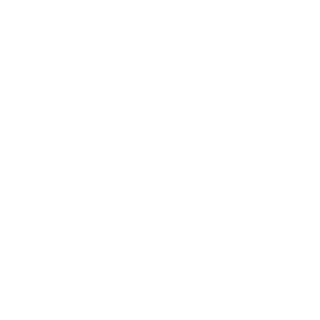 Brontax's emblem