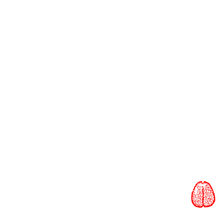 ZeeeLoooooTT's emblem