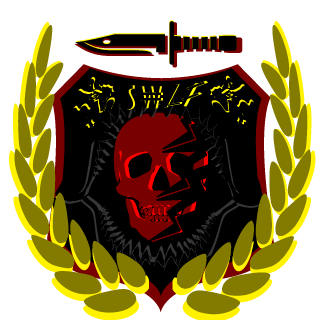 SouthWestLadsFighters's emblem