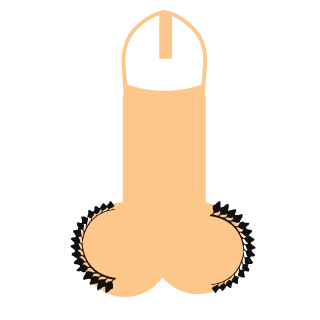 Pezza2148's emblem