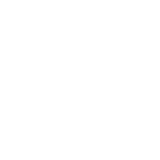 XxLAURSENxX's emblem