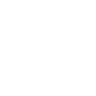 aBsTeRgO_xAgEnT's emblem