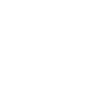 Mark_171's emblem