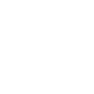 Sp00kwave's emblem