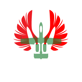 dcomputerhelper's emblem
