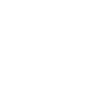 bartman6606's emblem