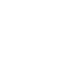 bjjhawk7's emblem