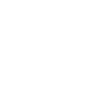 1kingjayden1's emblem