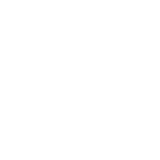 Mirg500's emblem
