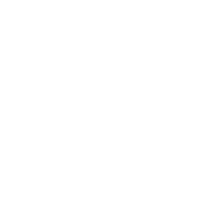 hardcharger0311's emblem