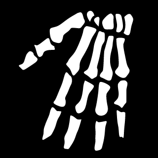 Void_Schwarzer's emblem
