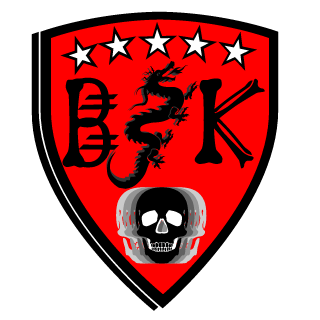 The BerSerKers's emblem