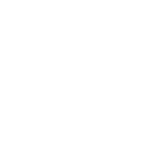 zLENN0X's emblem