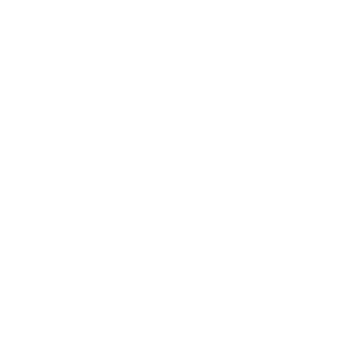 SOFTFAZe's emblem