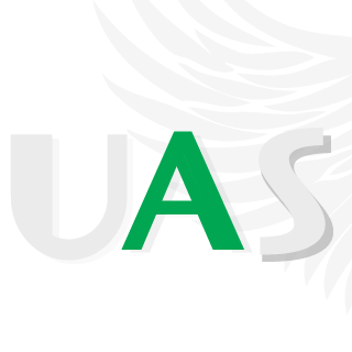 UNITED ARAB SOLDIERS's emblem