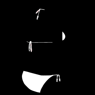 kamini_kansha's emblem