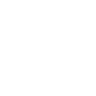 ExVisionN_pEW's emblem