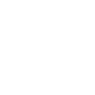 _Datum-Dude_'s emblem