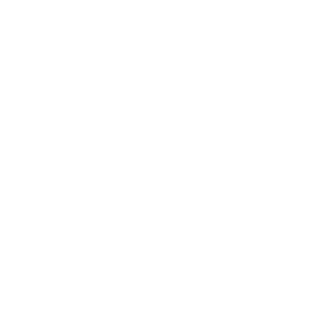Flat-earther's emblem