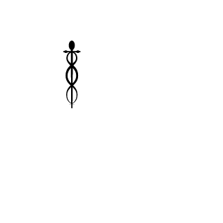 sarning's emblem