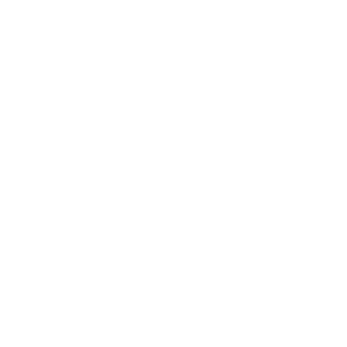 NetworldBR's emblem
